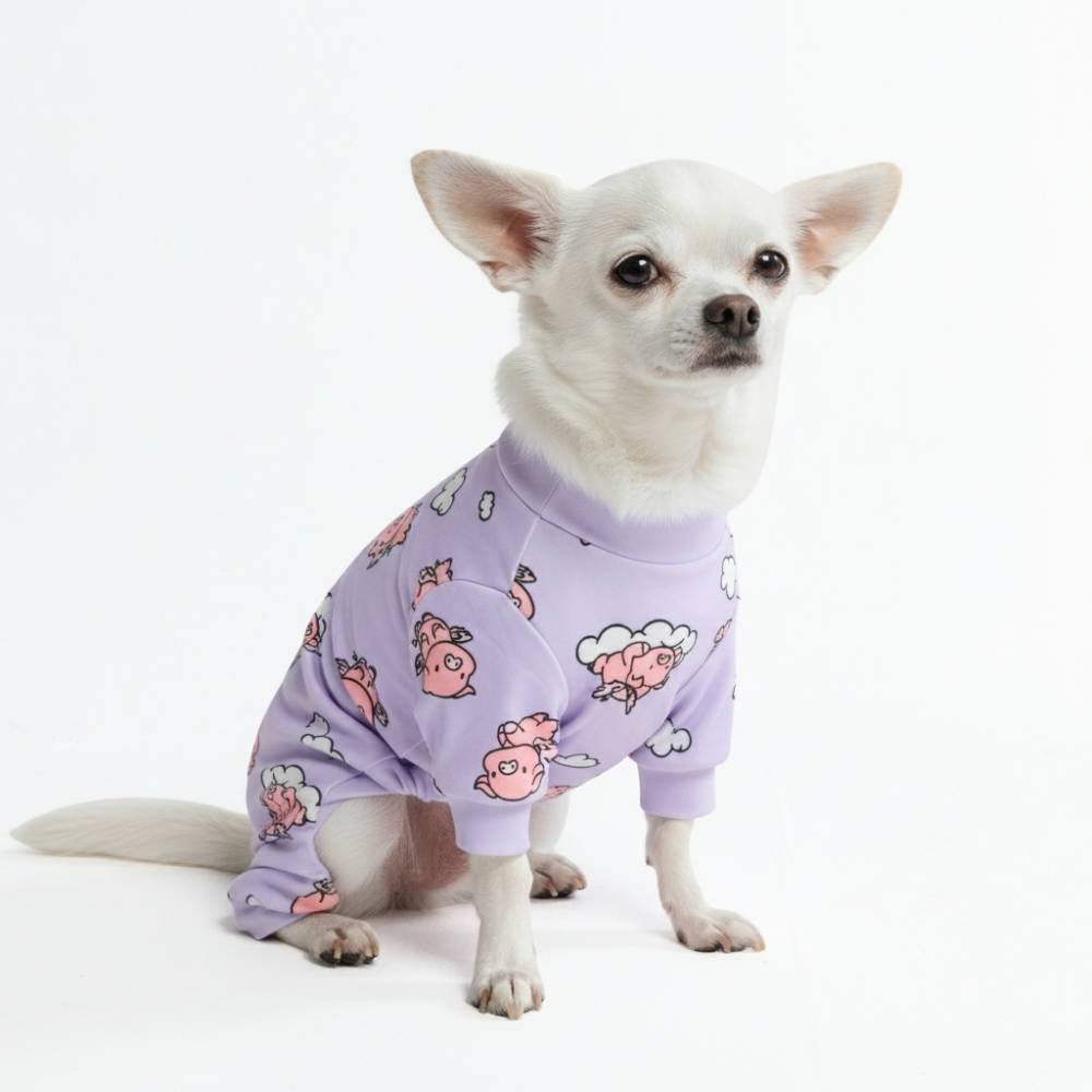 Dog Pajama - When Pigs Fly