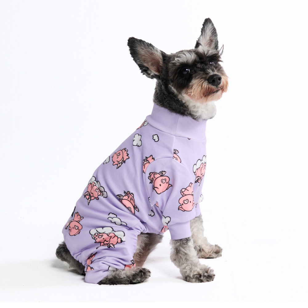 Dog Pajama - When Pigs Fly