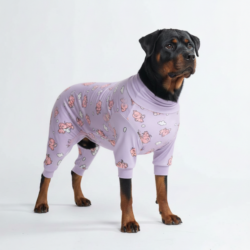 Dog Pajama - When Pigs Fly