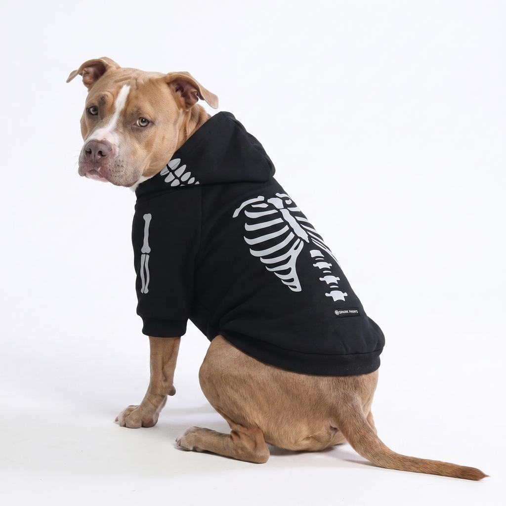 Halloween Dog Hoodie - Reflective Skeleton