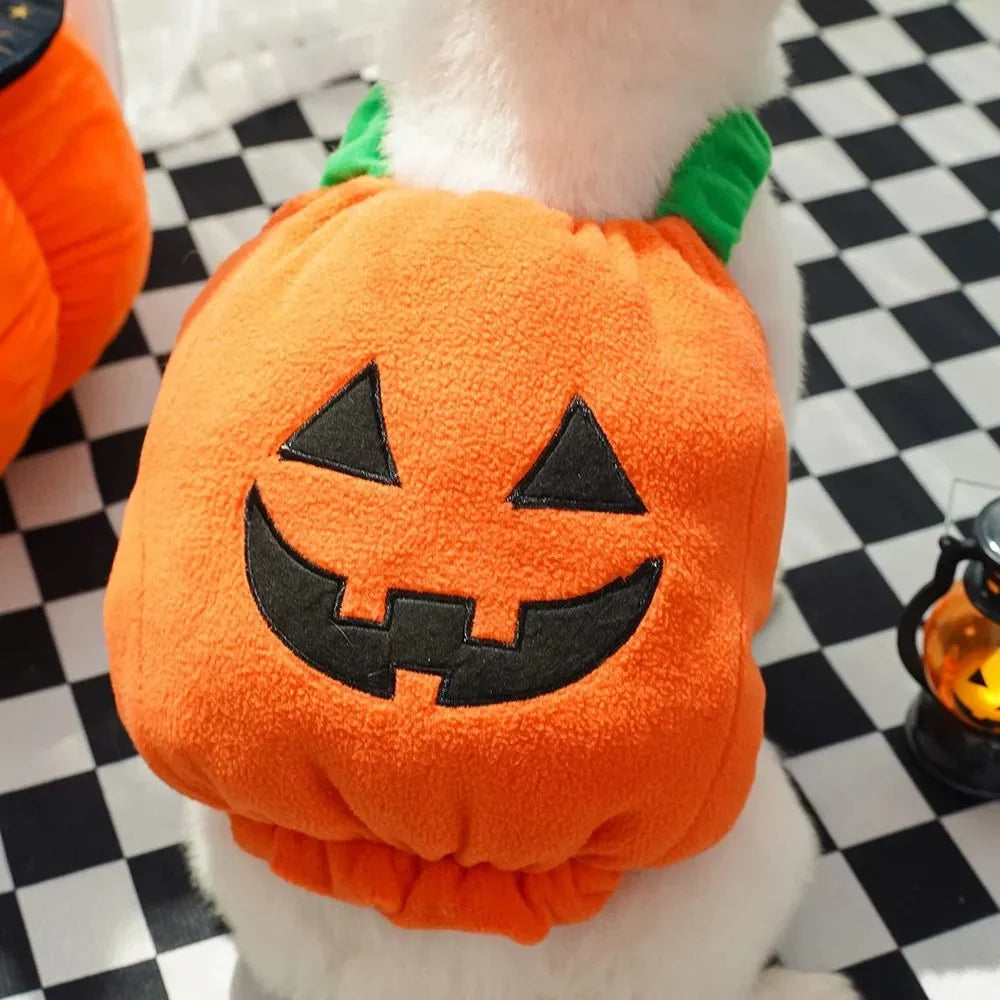 Halloween Pumpkin Cute costume